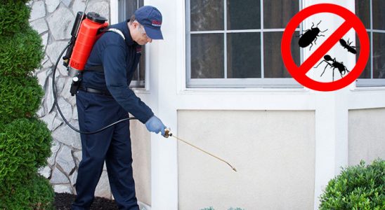 Nurdağı Kemirgen İlaçlama böcek ilaçlama ve haşere kontrolü — ilaclama-tr.com
